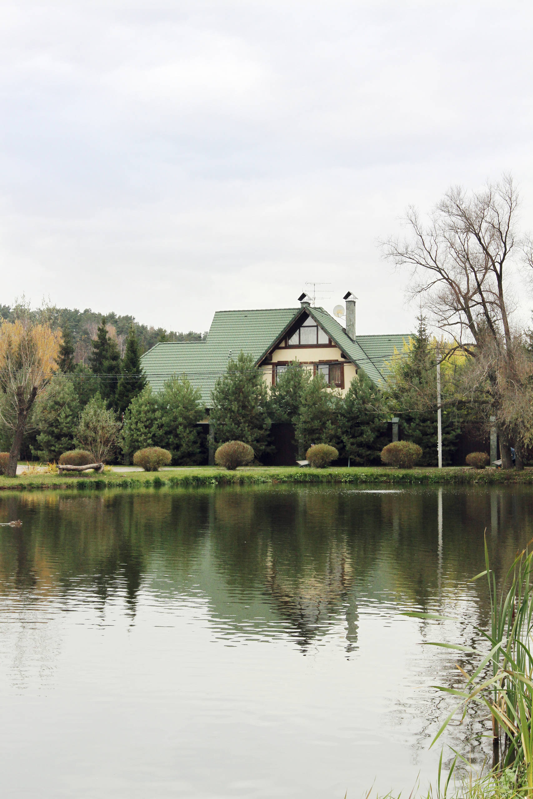 Пейзажный или регулярный: Какой сад выбрать и почему