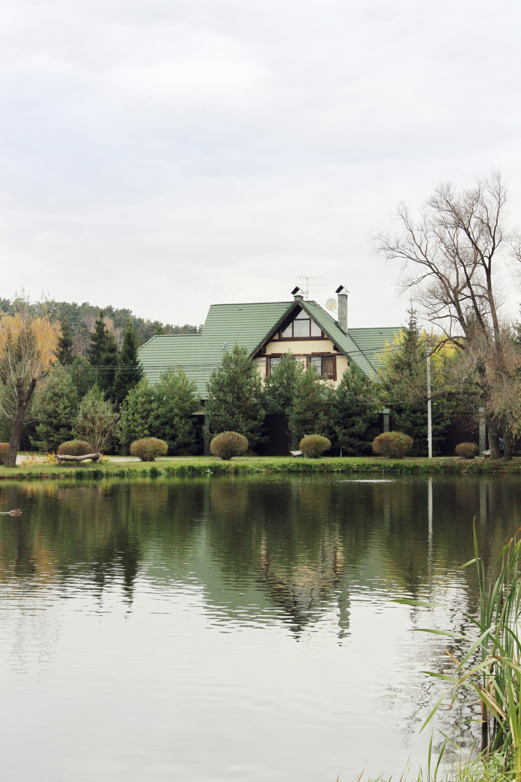 House on pond