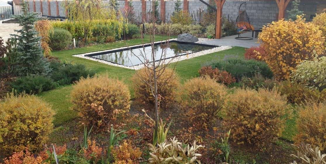 Обложка проекта: Осень в полосатом саду.