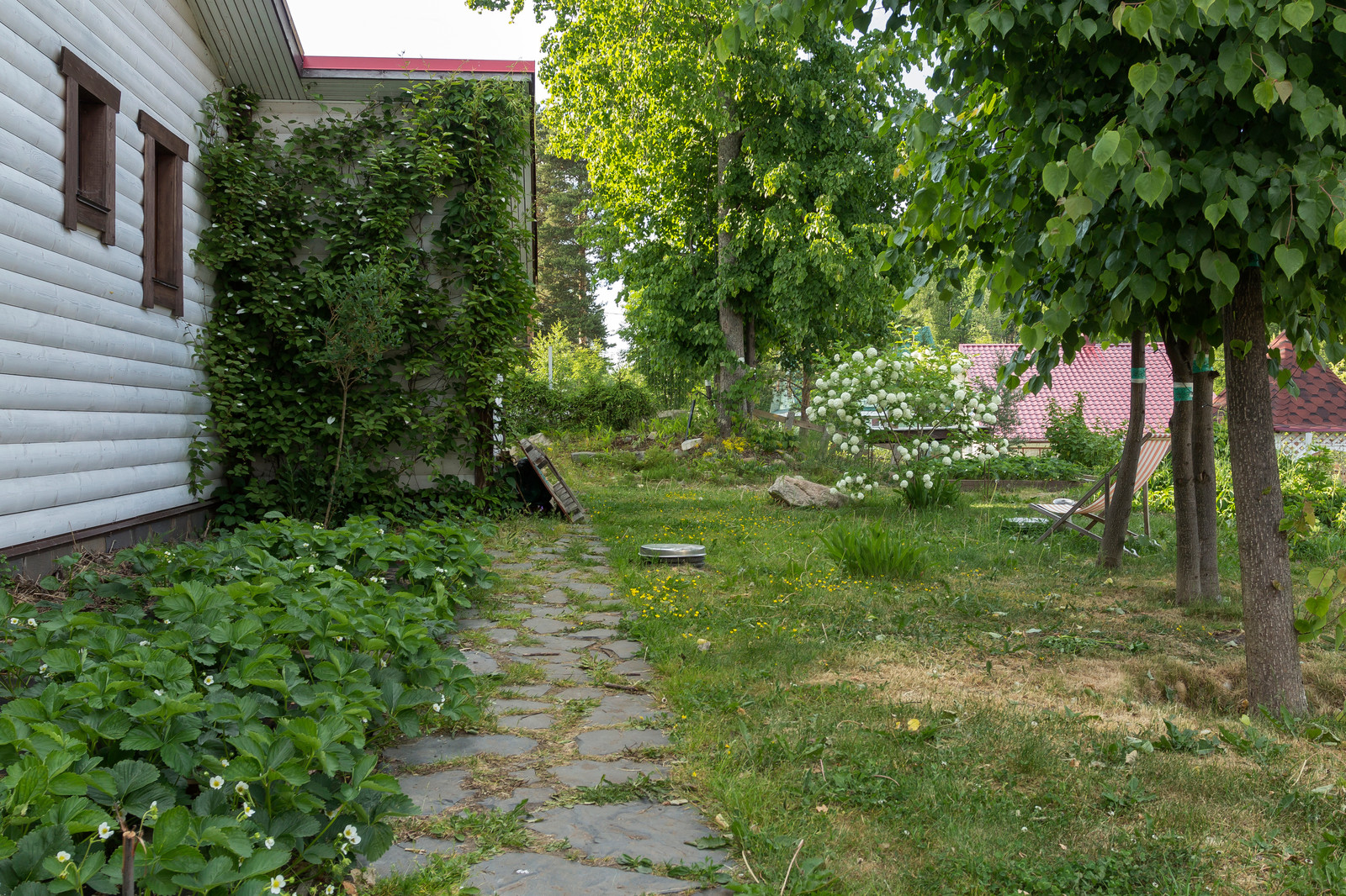 Ландшафт участка загородного дома (Маткачи)