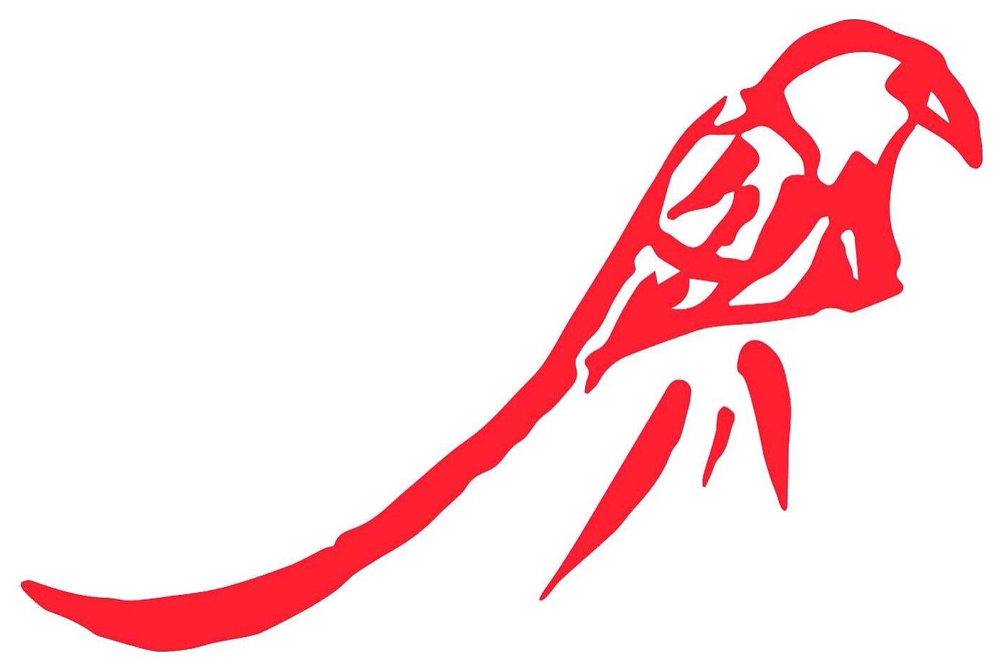 Обложка проекта: Колибри