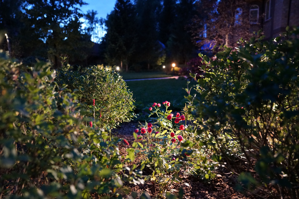 Круговорот цвета. Дубровка 2021