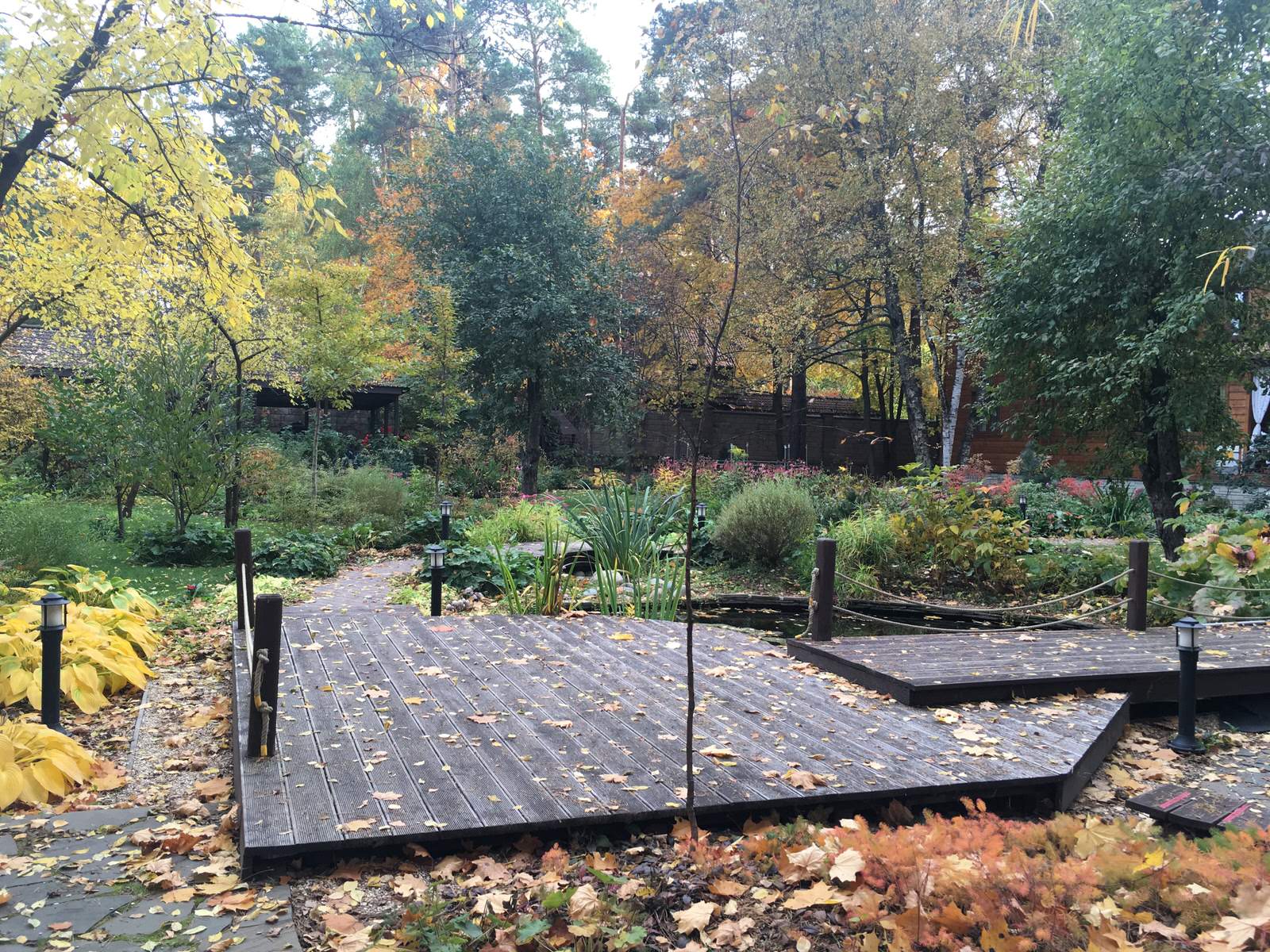 Белкин сад. Осень 2019