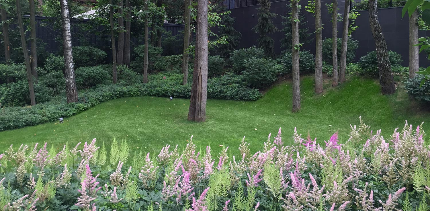 Обложка альбома: Природный стиль ЛД