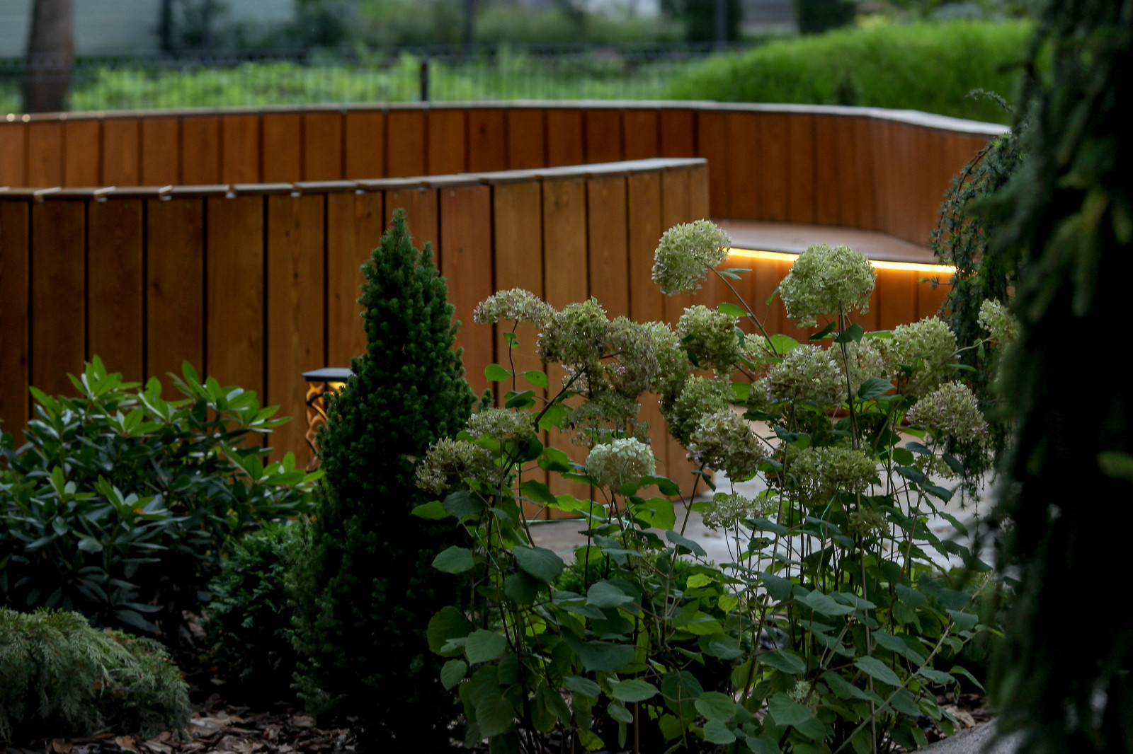 Сказочный лес