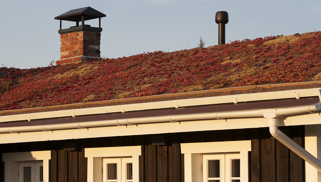 Обложка альбома: озеленение крыш