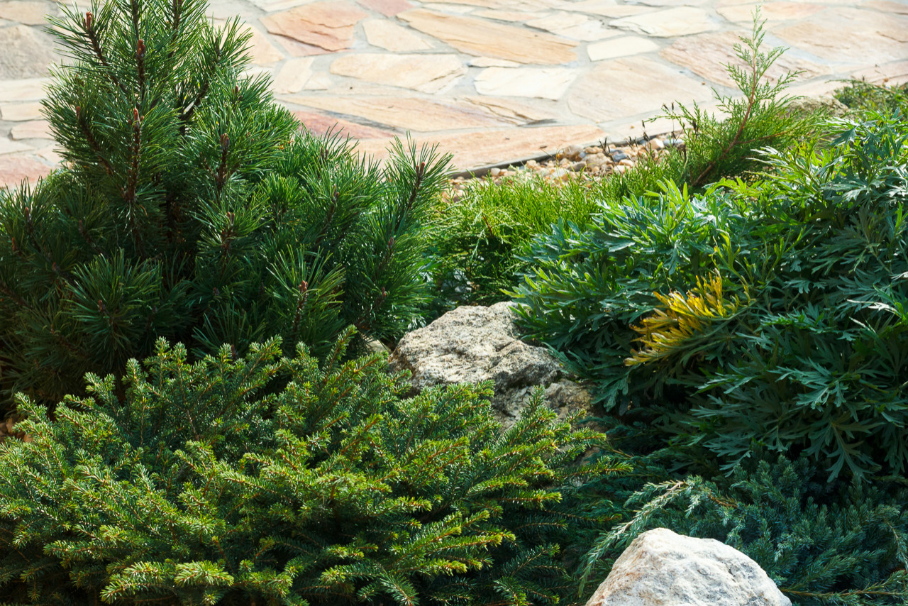 Минимализм в саду