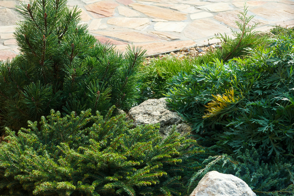 Минимализм в саду