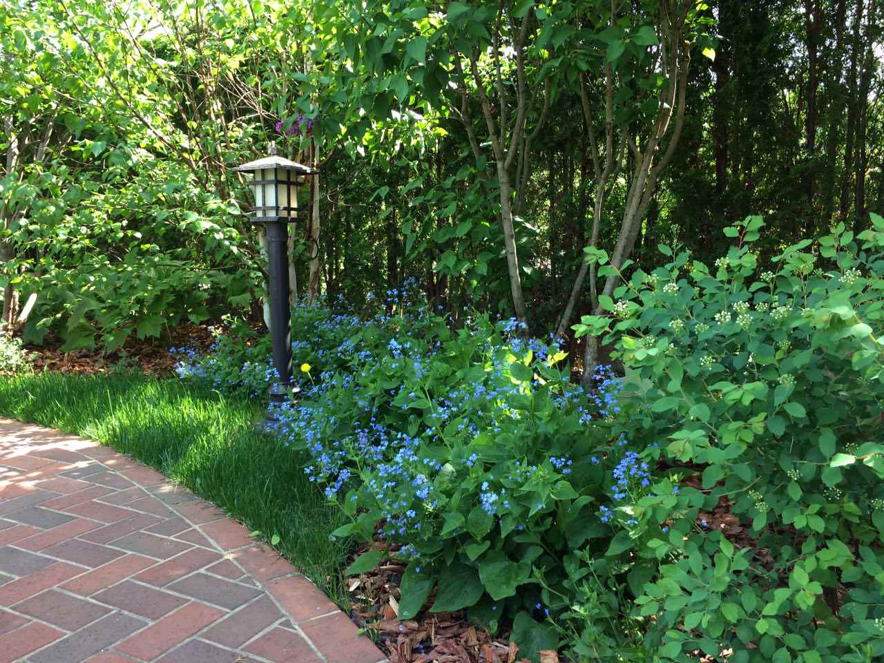 Миллениум Парк 2