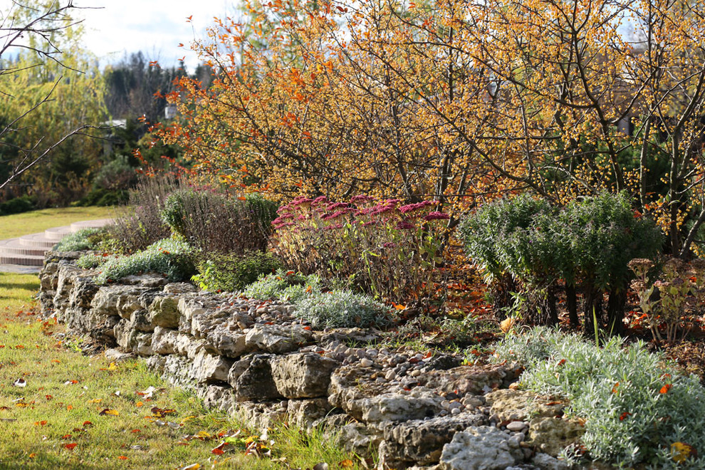 В центре круга