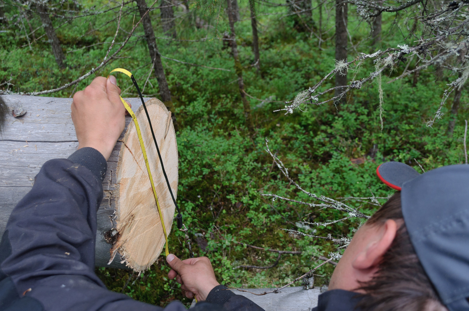 Производство и заготовка