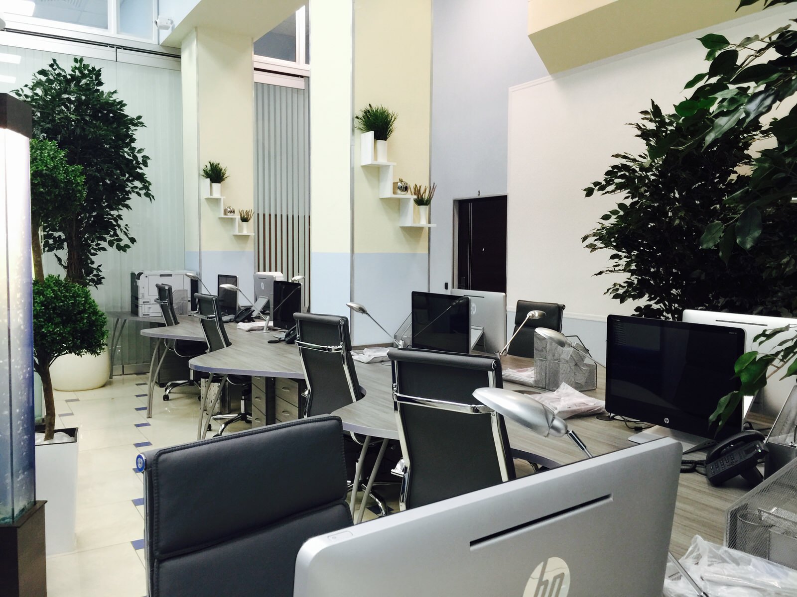 Офис с деревьями