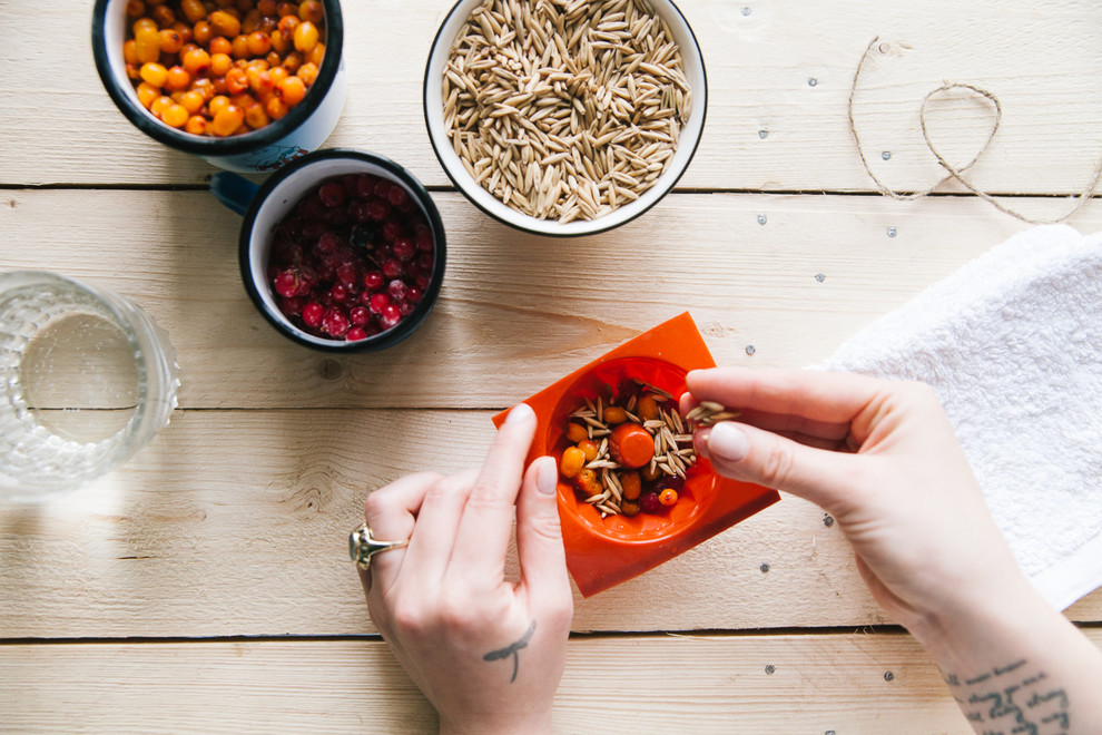 DIY: Ледяная кормушка для птиц своими руками