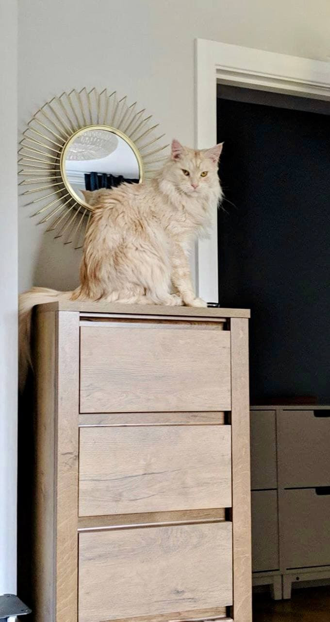 ДИЗАЙН-ПРОЕКТ ИНТЕРЬЕРА КВАРТИРЫ, ДУБЛИН, 73 М²