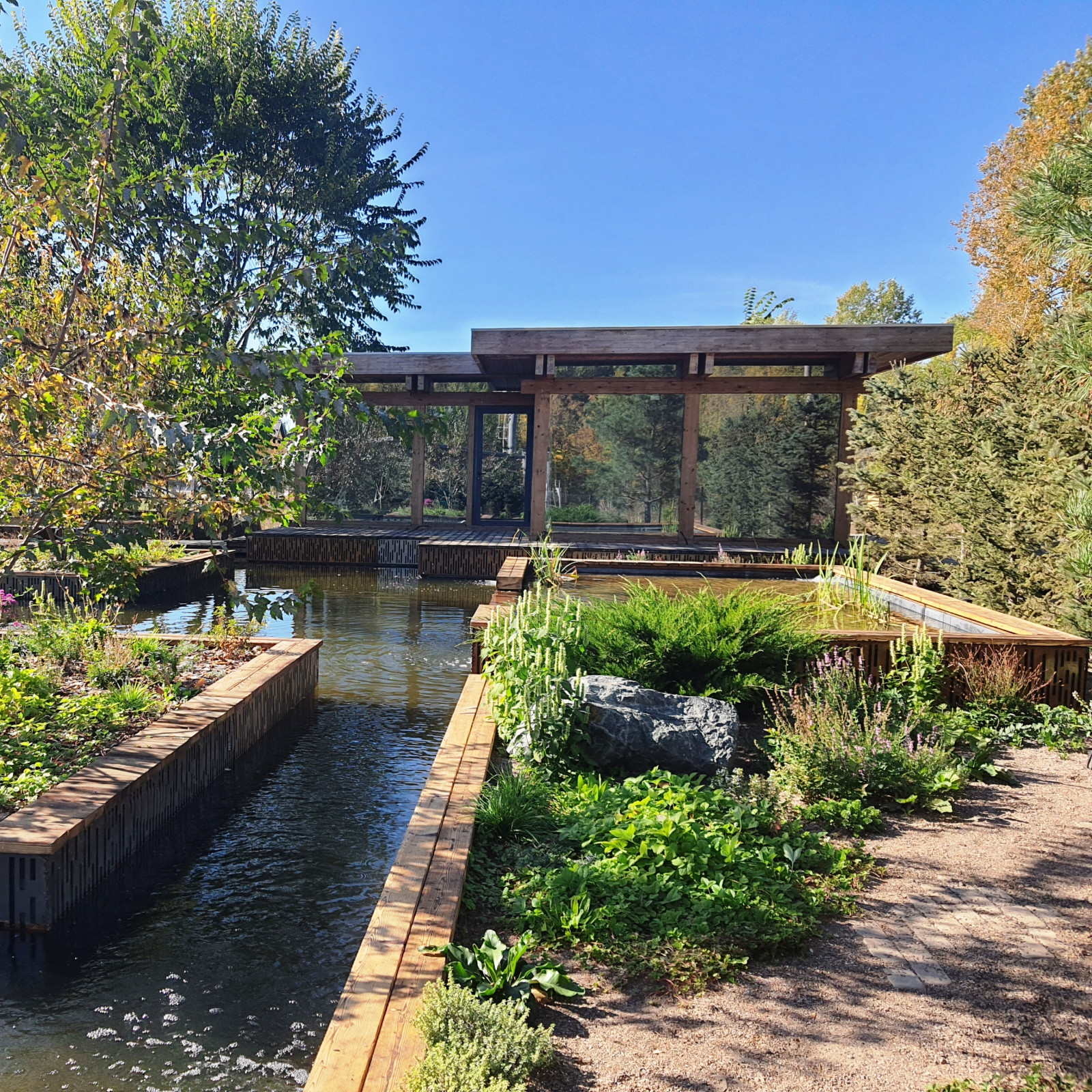 Обложка проекта: Выставочный сад