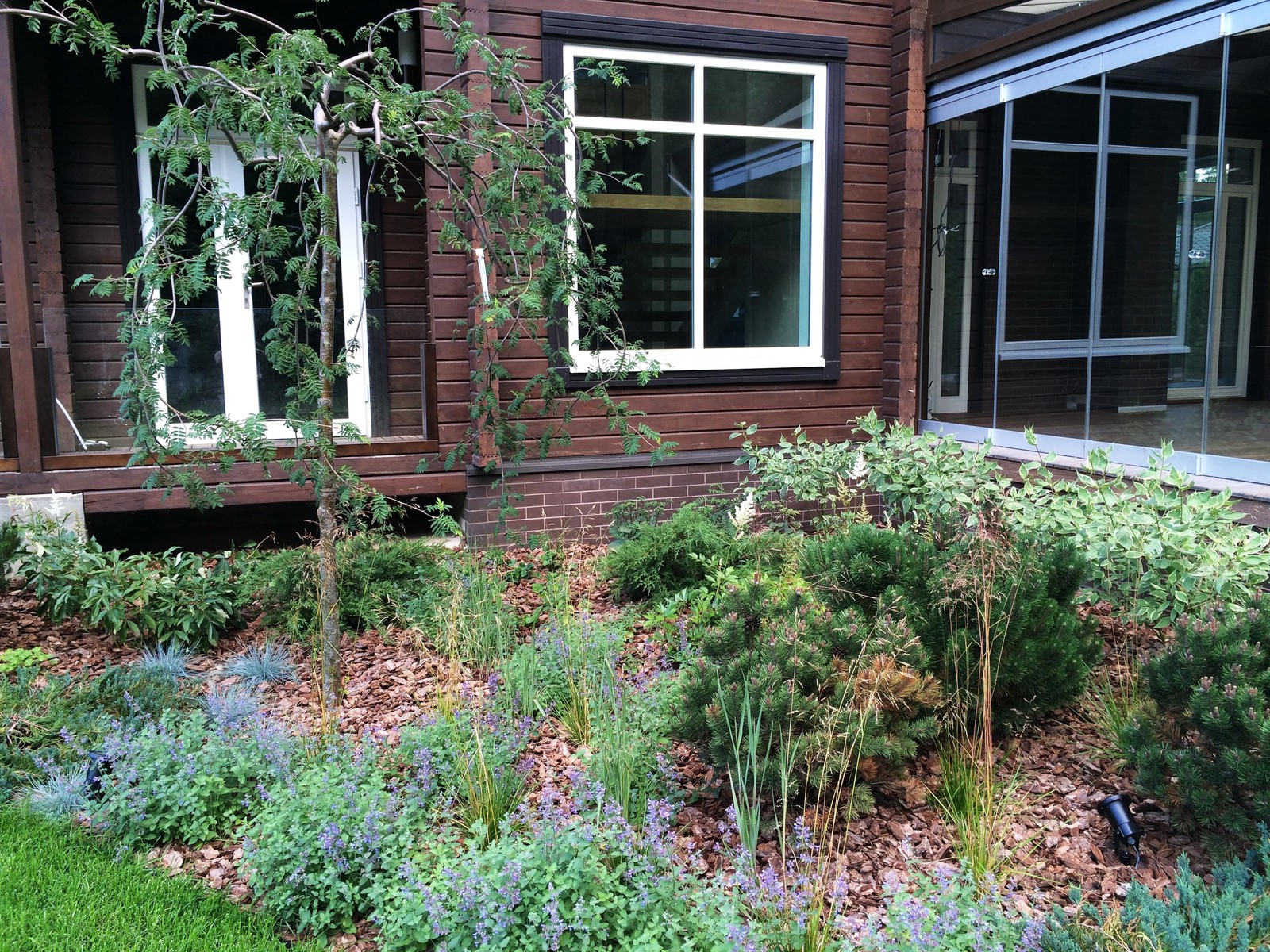 Духанино, 2015