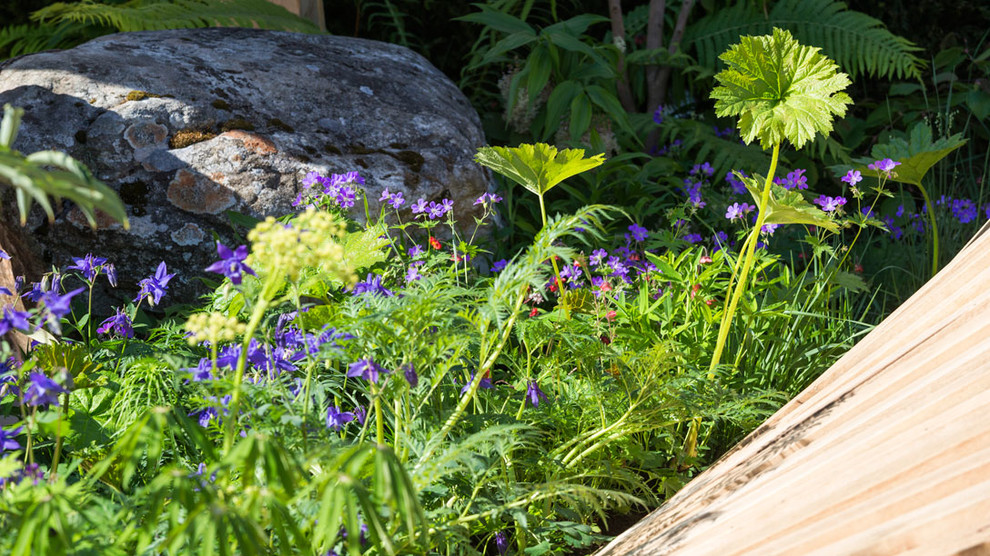 Уроки Chelsea Flower Show: Модные цветы 2016 года