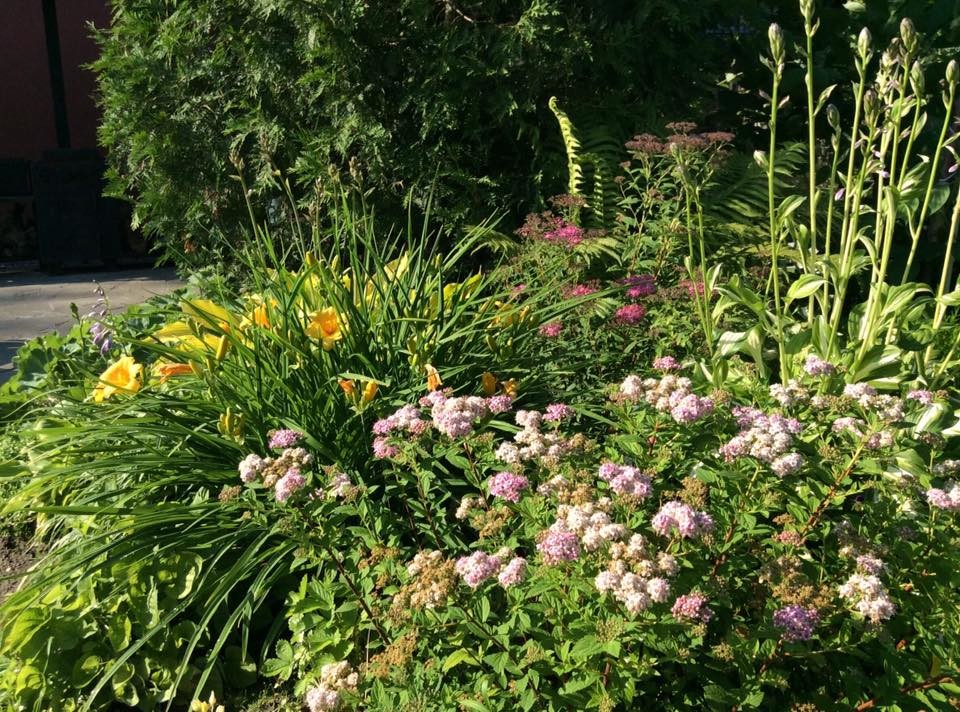 САДИК НА ЛАДОШКЕ (АЛЕНЬКИЙ ЦВЕТОЧЕК)