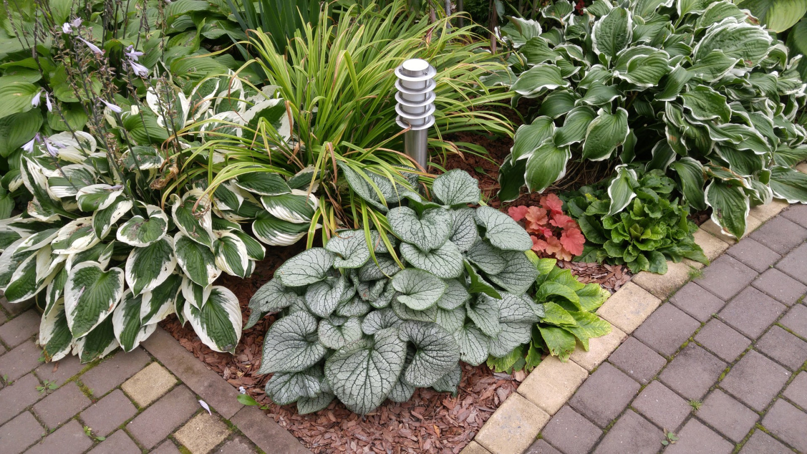 Коллекционный сад