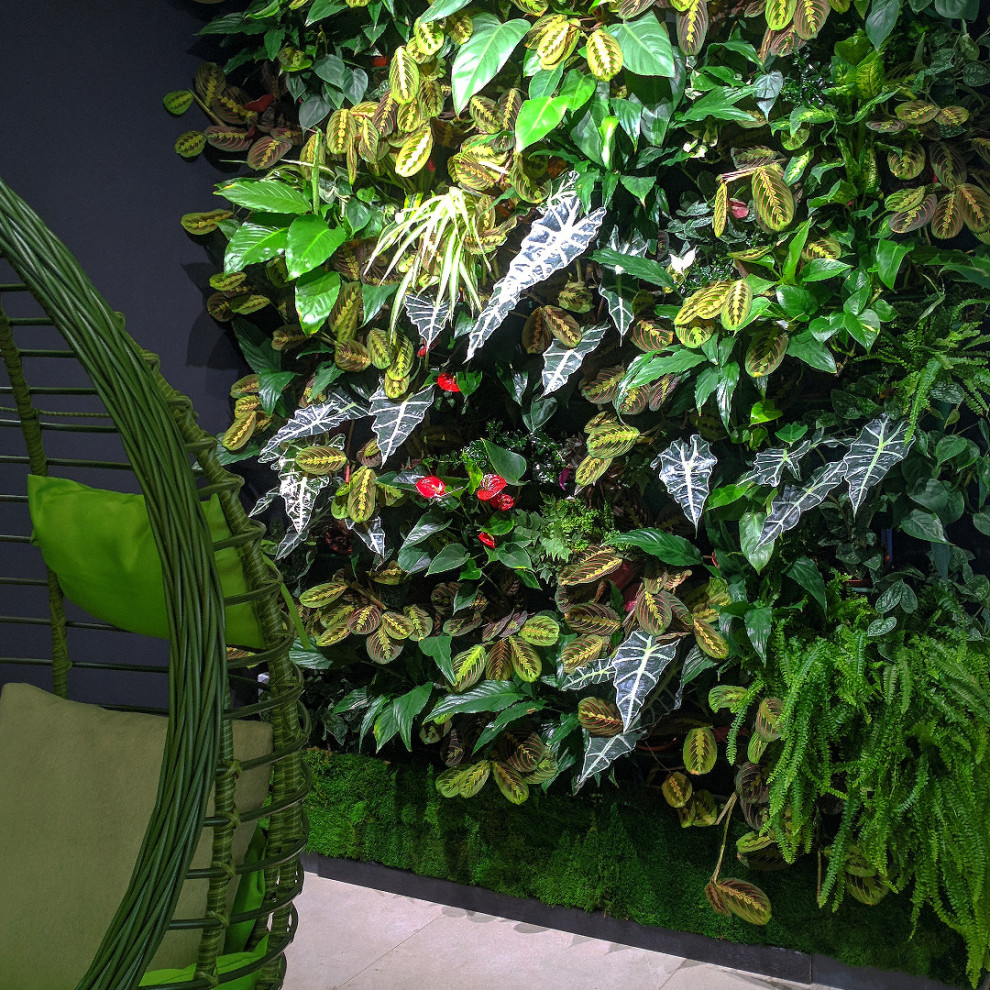 Обложка проекта: Проекты РАСТЕНО без в.знаков