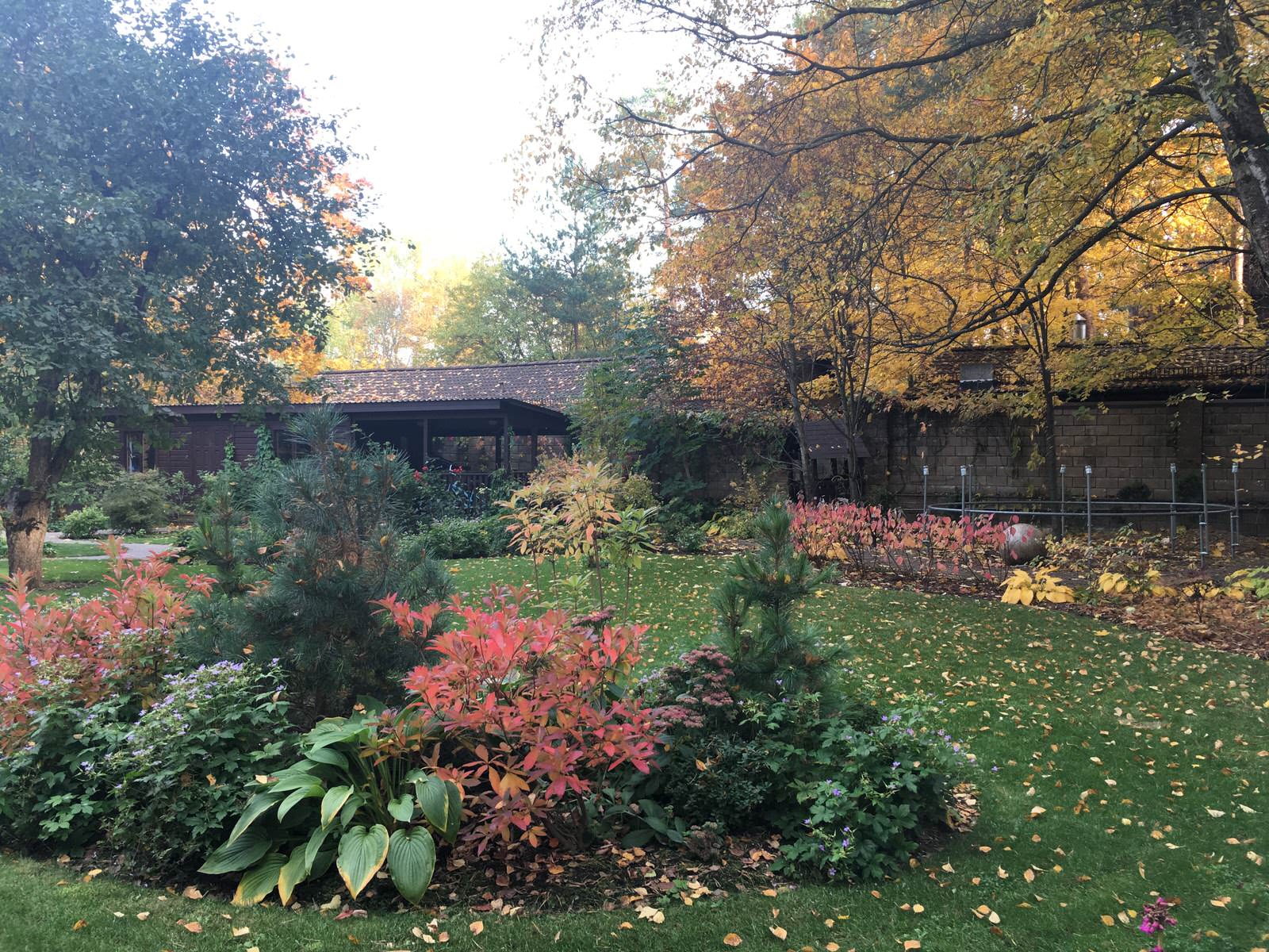 Белкин сад. Осень 2019