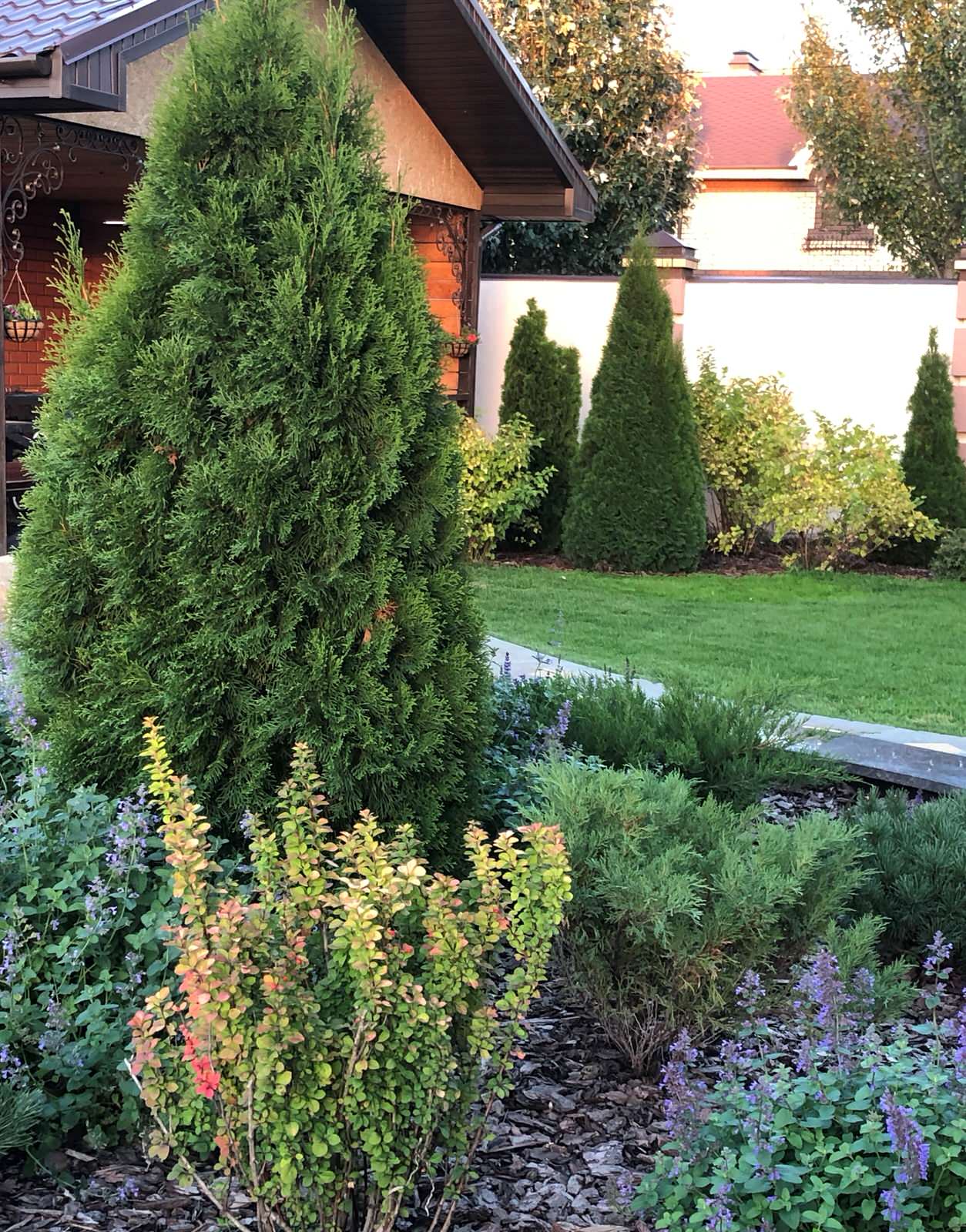 Волны и круг