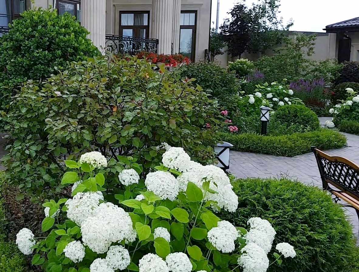 Обложка проекта: Соловьиная роща