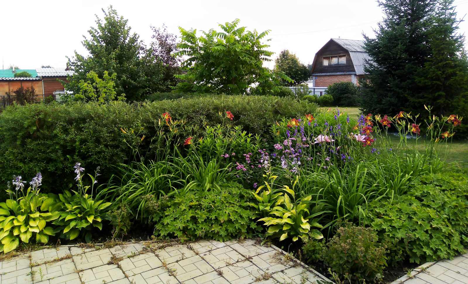 Цветник из многолетников