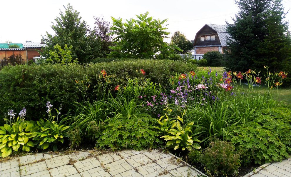 Цветник из многолетников