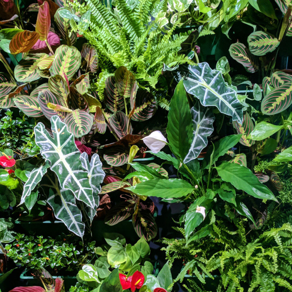 Фотографии проектов без в.знаков