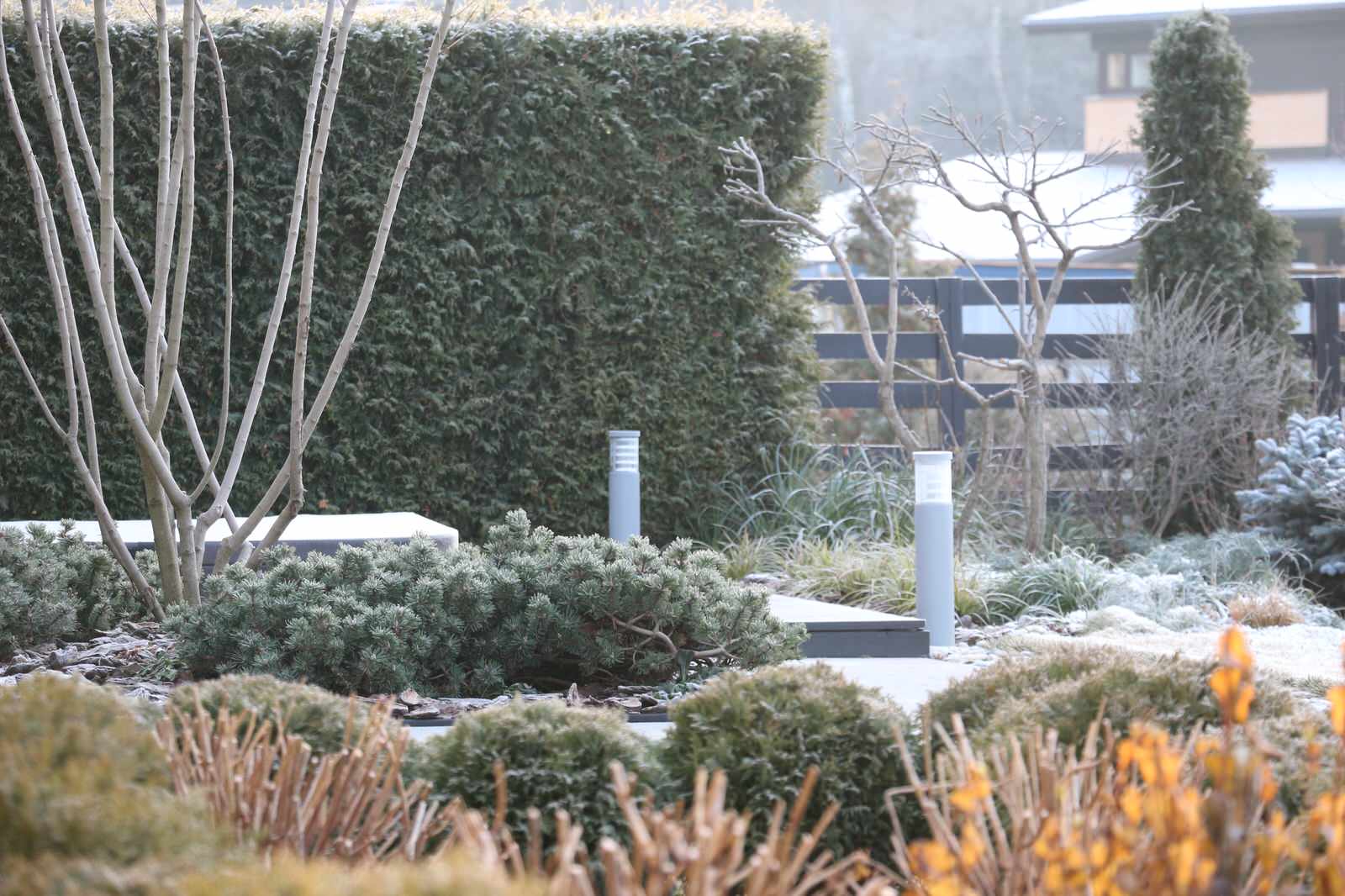 Светлогорье