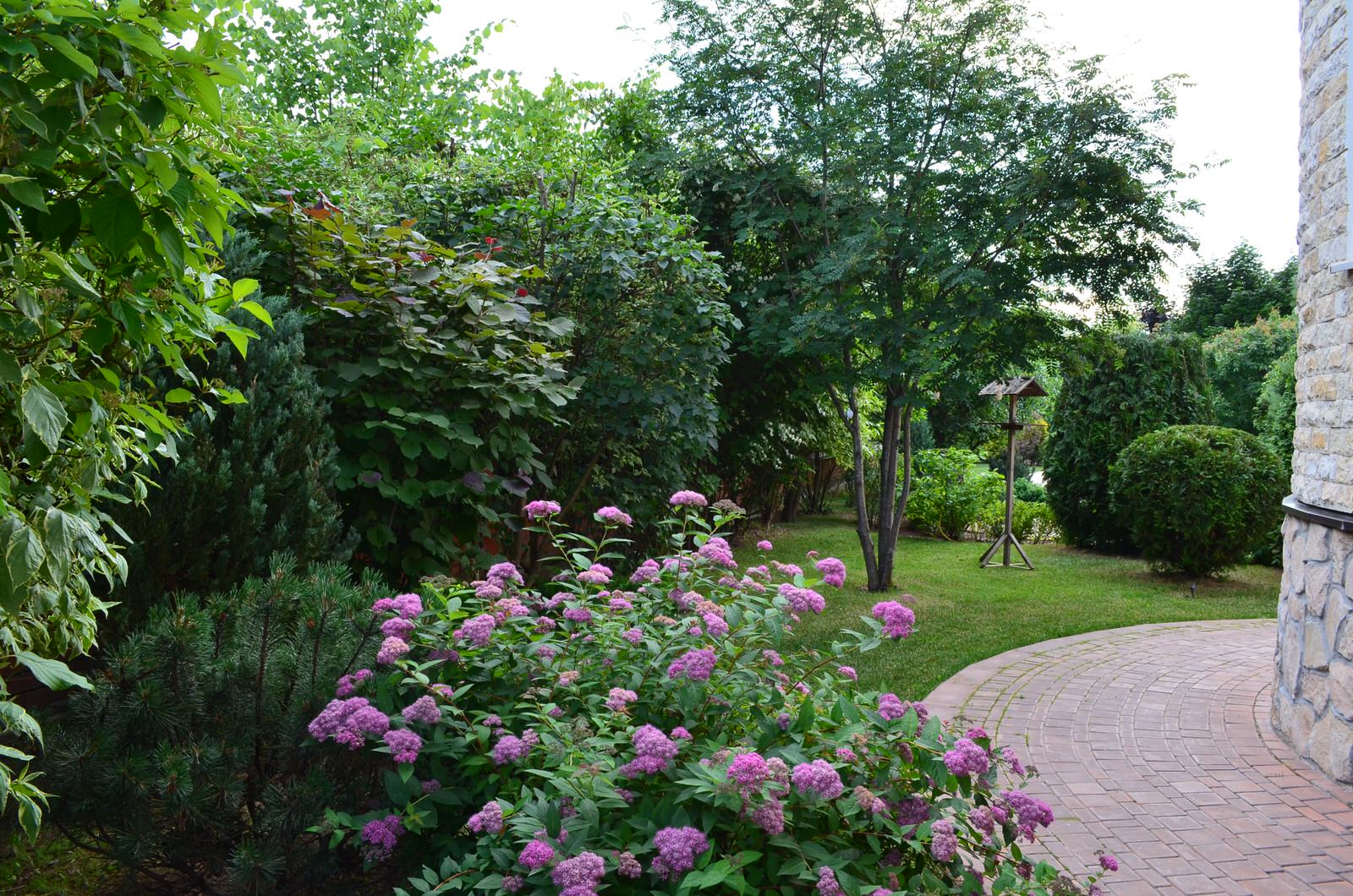 Сад "Царство растений" ландшафтный стиль.