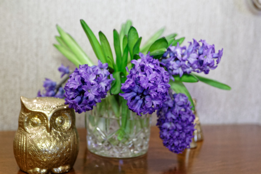 Квартира г.Москва