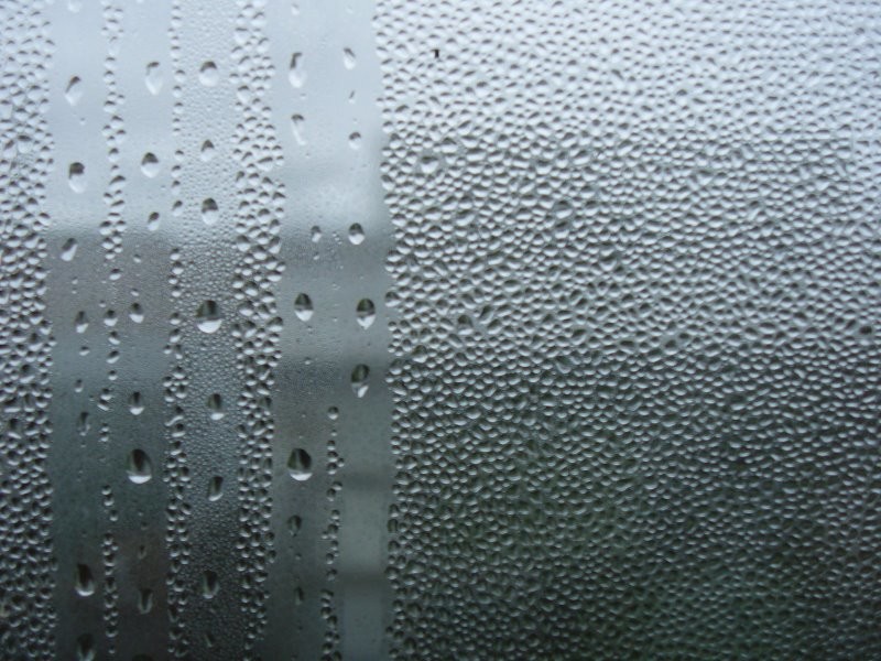 Хороший вопрос: Надо ли увлажнять воздух в помещении?