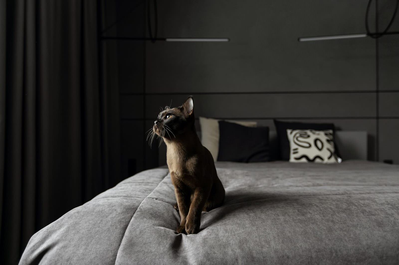 ЖК на Московском проспекте