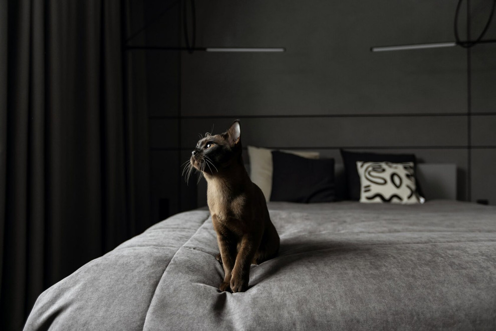 ЖК на Московском проспекте