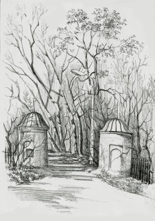 Мои черно-белые рисунки