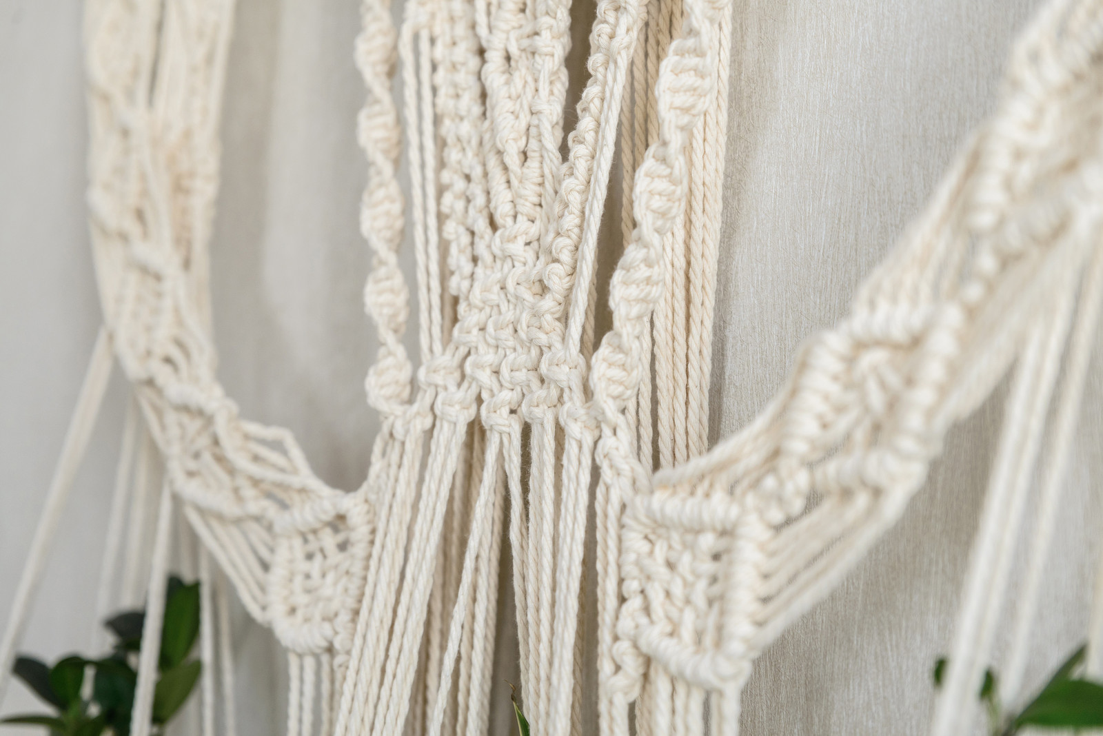 Озеленение квартиры