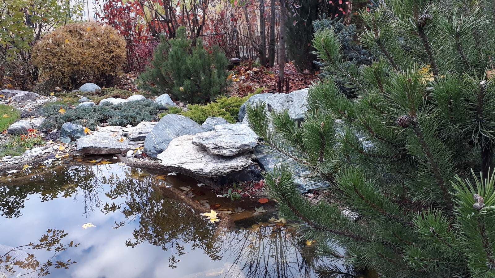 Мини-пруд Королев