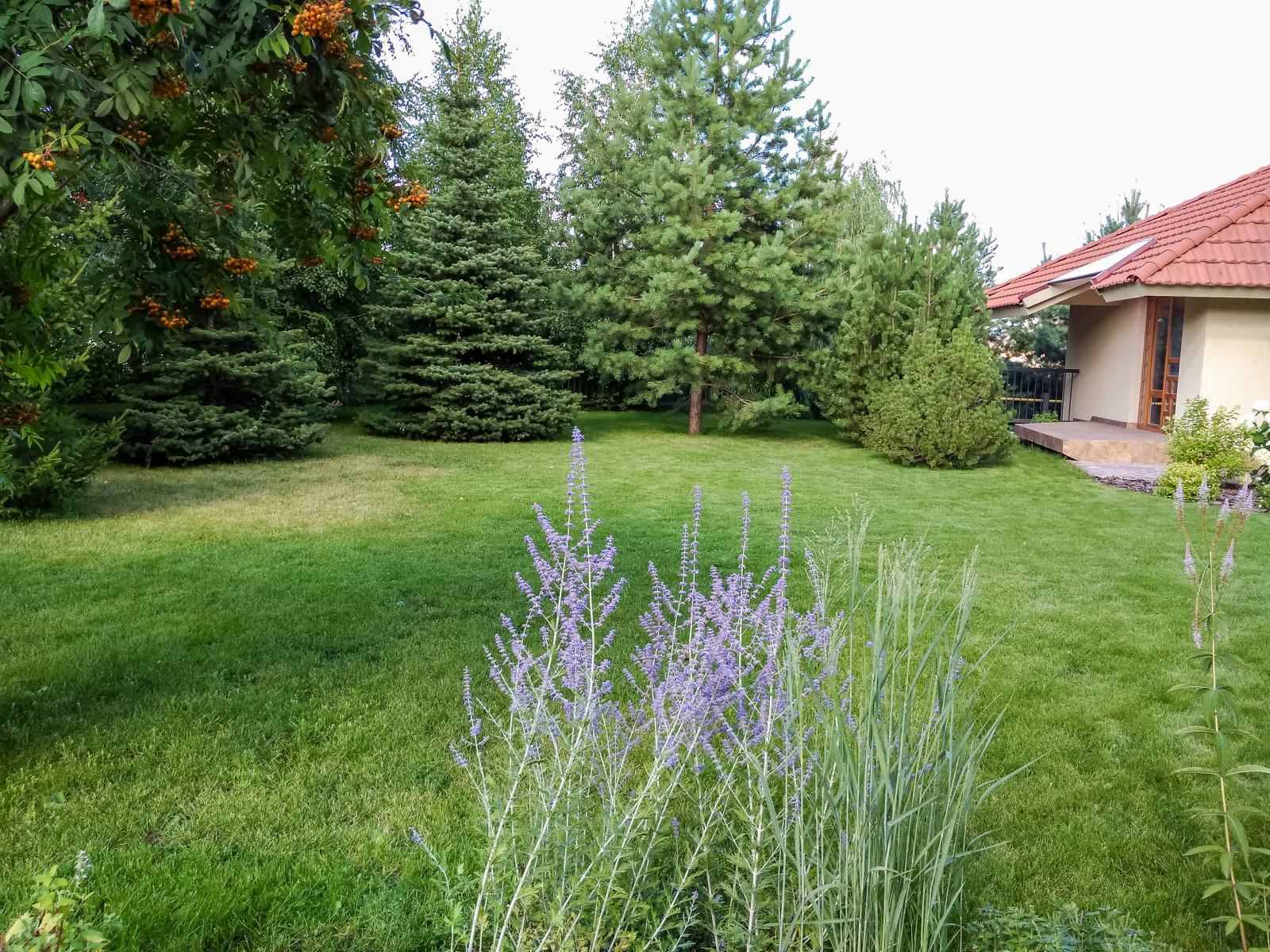 пос.Малая Царевщина