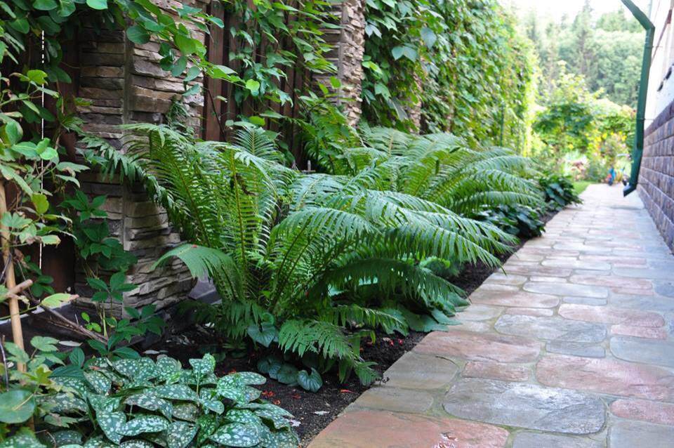 Сенькино московская обл