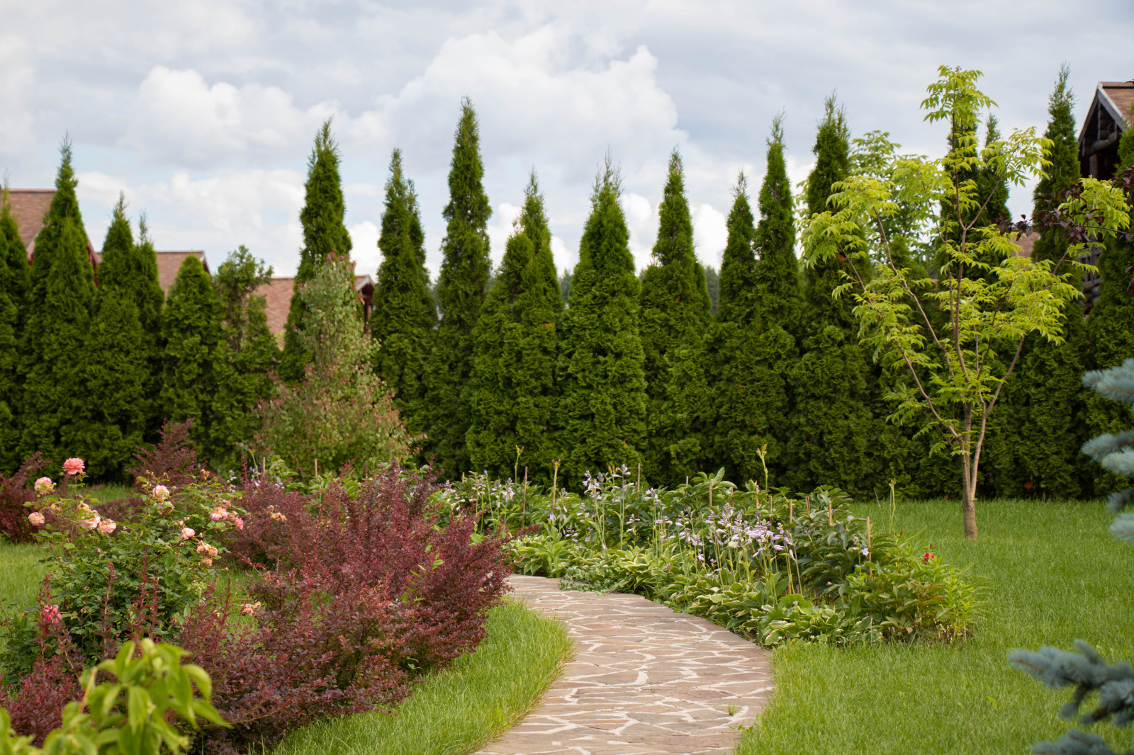 Сосновые берега