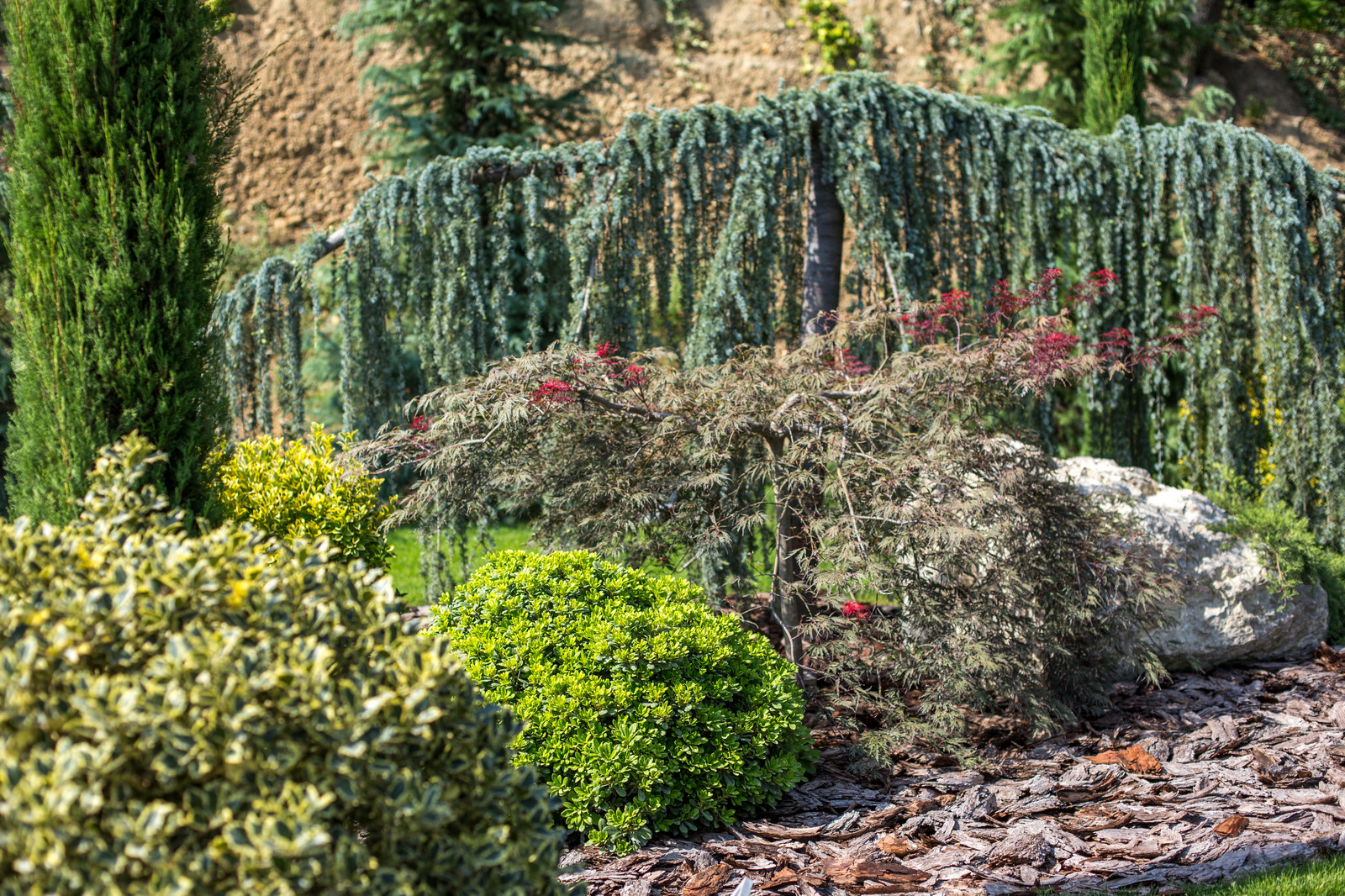 Ландшафтный Дизайн Олимпийский Сочи