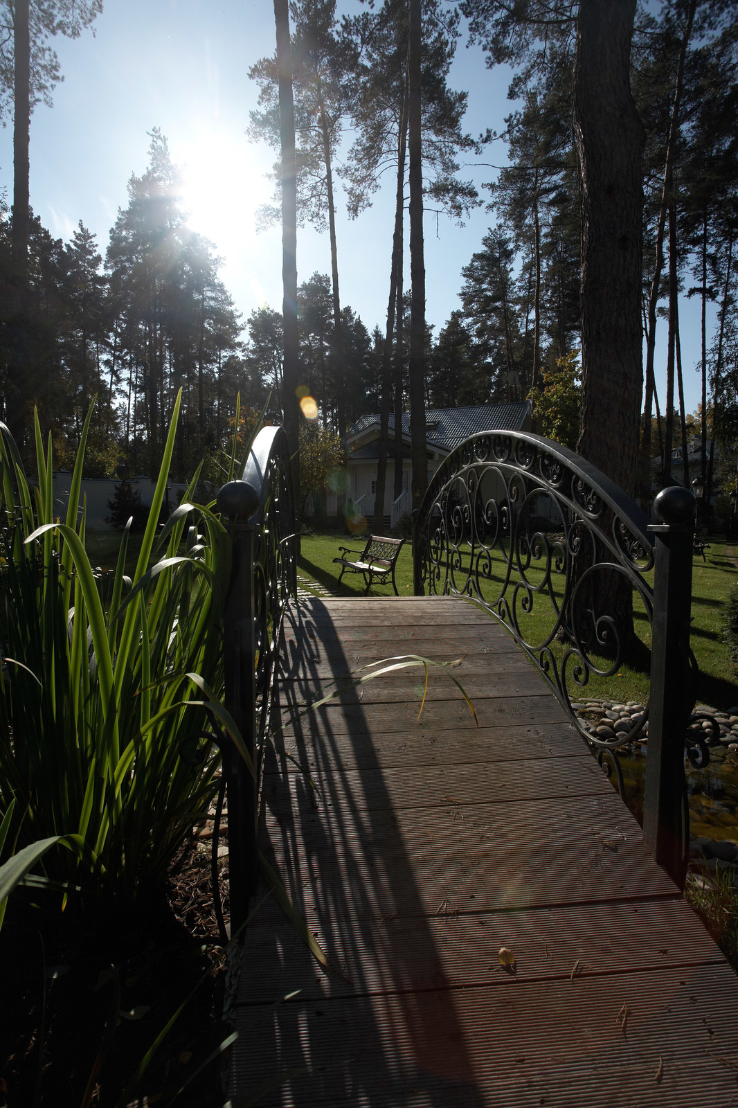 Каменистые ленты