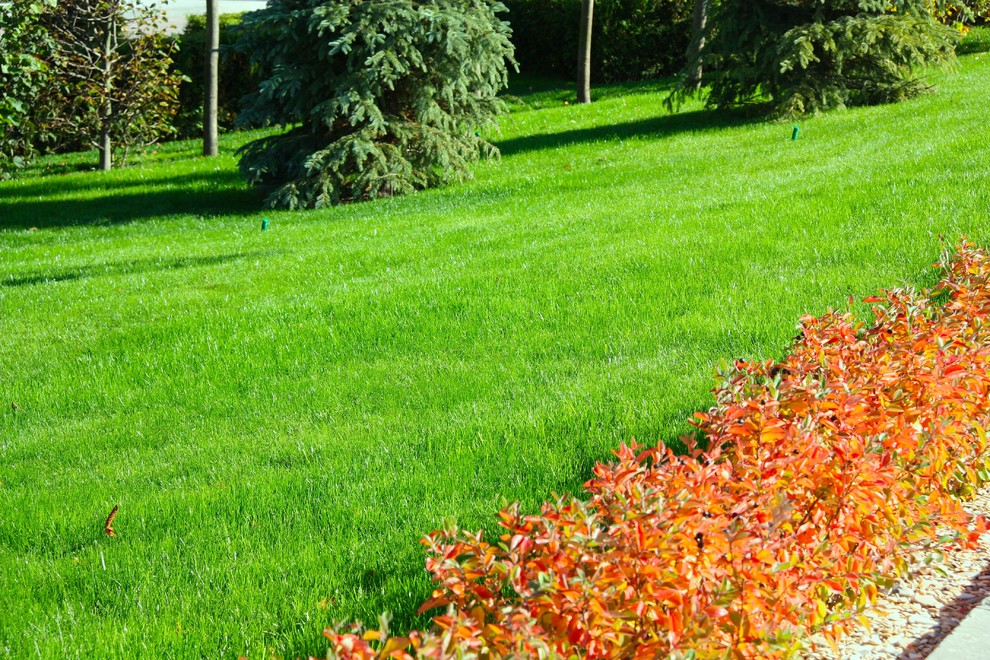 Газон Канада Грин Элитный