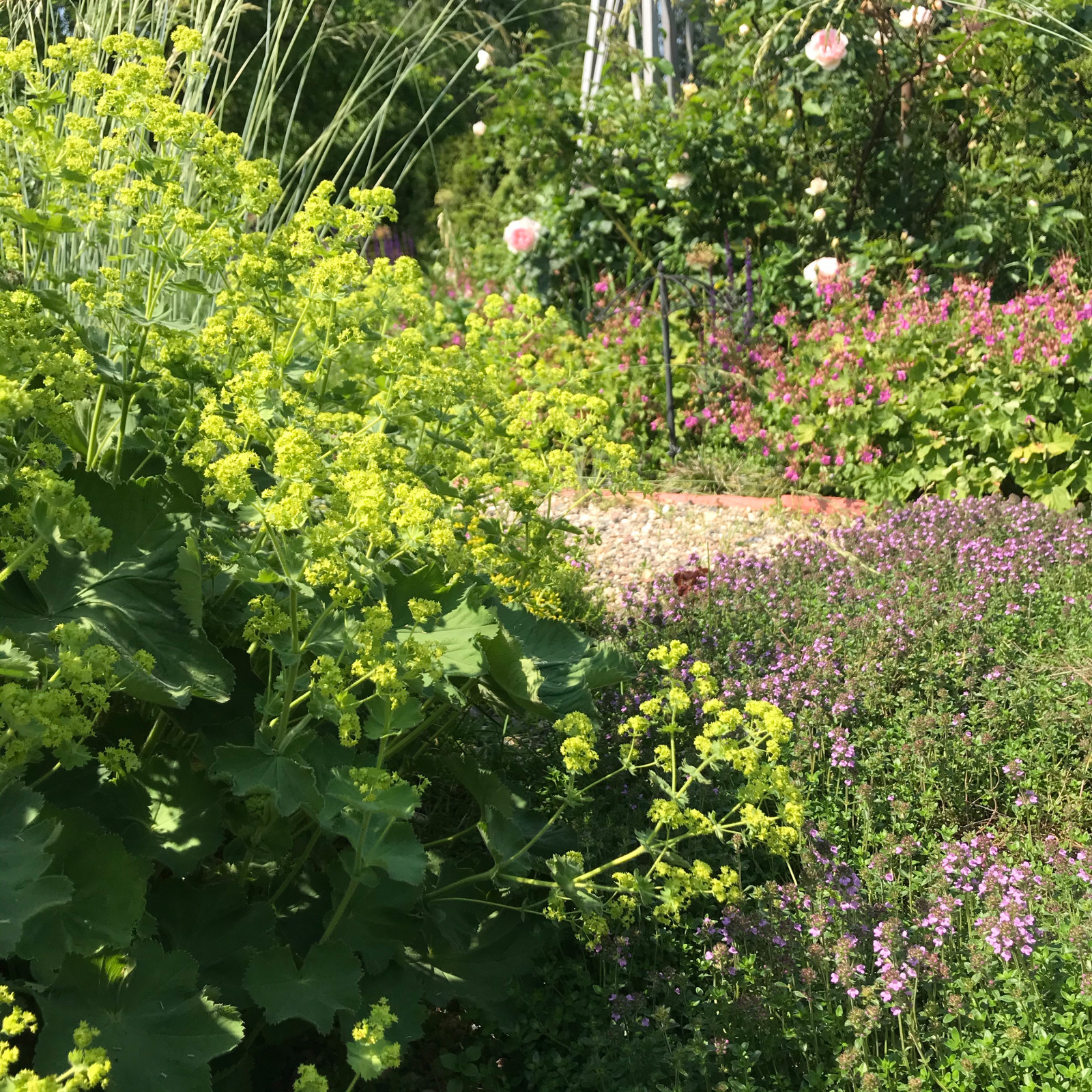 Сад на песках