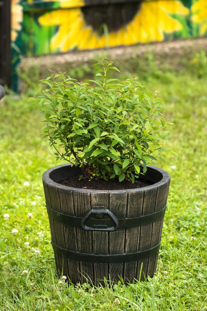Современный хуторок у Наташи Королевой