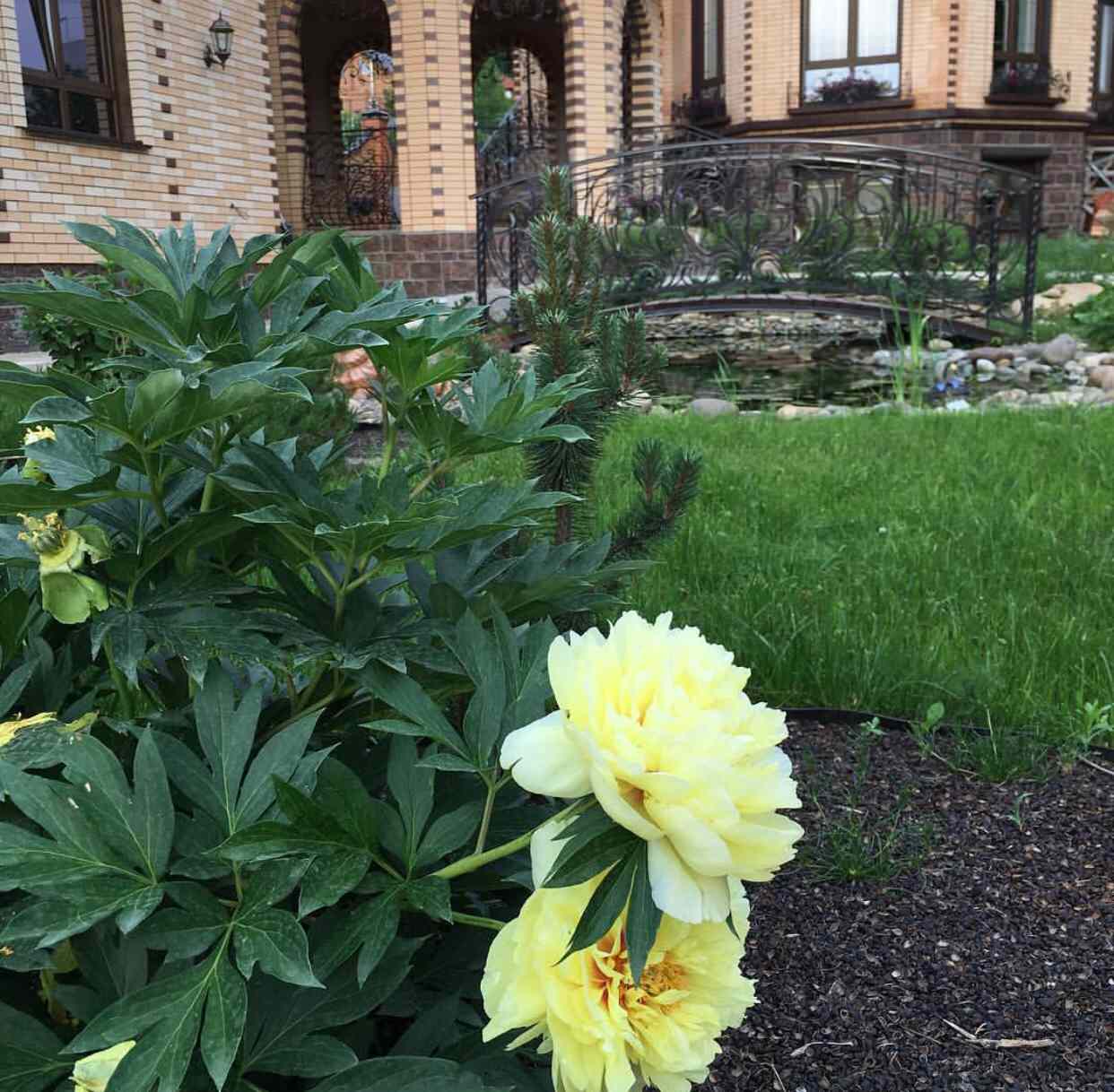 Ландшафтный дизайн участка 8,5 соток.