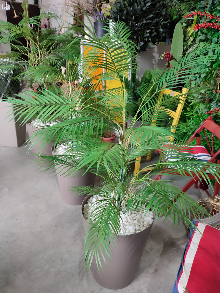 Растения для офисного пространства