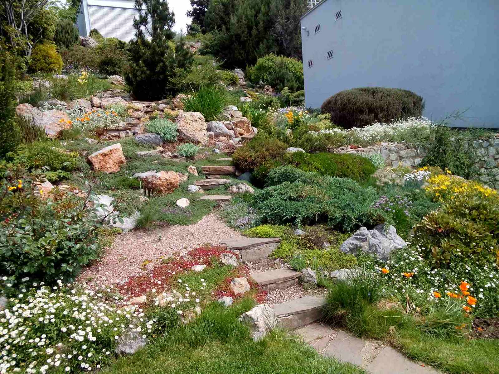 Крым. Гурзуф.